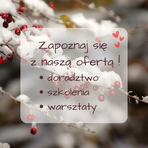 Kopia Projekt bez nazwy 2